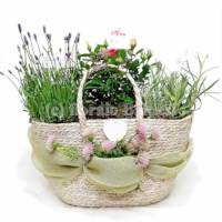 Piantine aromatiche confezionate in borsa Ecogreen decorativa