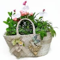 Piantine aromatiche confezionate in borsa Ecogreen decorativa