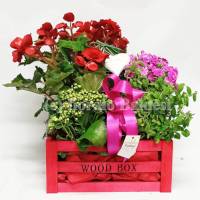 Piantine fiorite in box legno