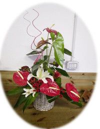 Pianta anthurium confezionato con fiori recisi
