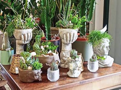 Angolo piante grasse con oggettistica decorativa per la casa - negozio Baldesi
