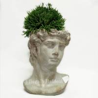 Vaso a forma di testa con pianta decorativa